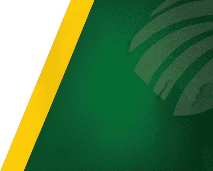 Abstract green gradient background with a bold yellow diagonal stripe along the left edge.